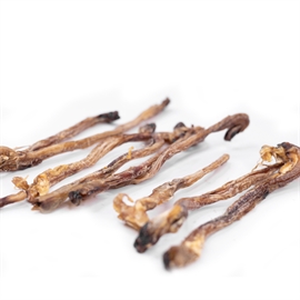 Snack\'it Lammepenis Flettet/Twisted/Lige - 100g